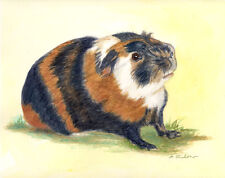 GUINEA PIG ART PRINT, GUINEA PIG WATERCOLOR PRINT from Painting by P. Tarlow
