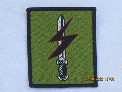 BRITISH ARMY Special Forces Support Group , SFSG,TRF, Patch, Abzeichen farbig auf oliv