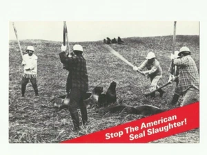 Rppc,Stop Seal Slaughter,,gesandt to Mr Secretary,Wash D.C. - Bild 1 von 2