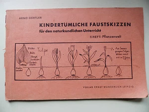 Kindertümliche Faustskizzen für den naturkundlichen Unterricht 1947 Arno Gürtler - Bild 1 von 1