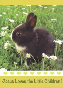 Kid's Birthday Card - Bunny Rabbit Daisies (Proverbs 17:17) (K-4) Religious