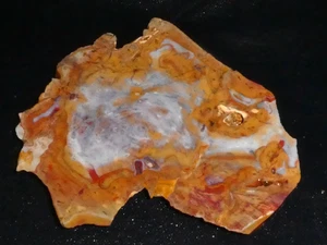 Cola de gallo riolita* losa4 5/8 x 4 1/2"-- áspera, cable--exhibición Geología - Imagen 1 de 3