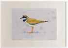 A3 little ringed plover adult breeding plumage Watercolour Ltd Edition Picture