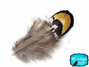 1 Pack - GOLDEN YELLOW Reeves Venery Pheasant Plumage feathers 0.10 oz. Craft - Picture 1 of 4