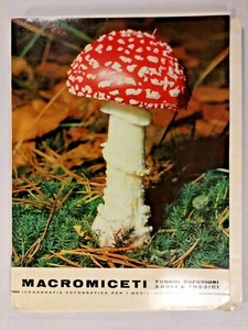 MACROMICETI Funghi superiori eduli e tossici - per medici - 68 SCHEDE 1963/1964 - Imagen 1 de 2