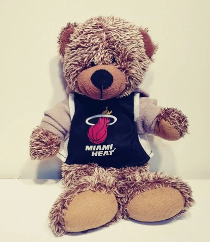 Miami Heat NBA Teddy Bear Plush with Hoodie 13" 2012 Cover