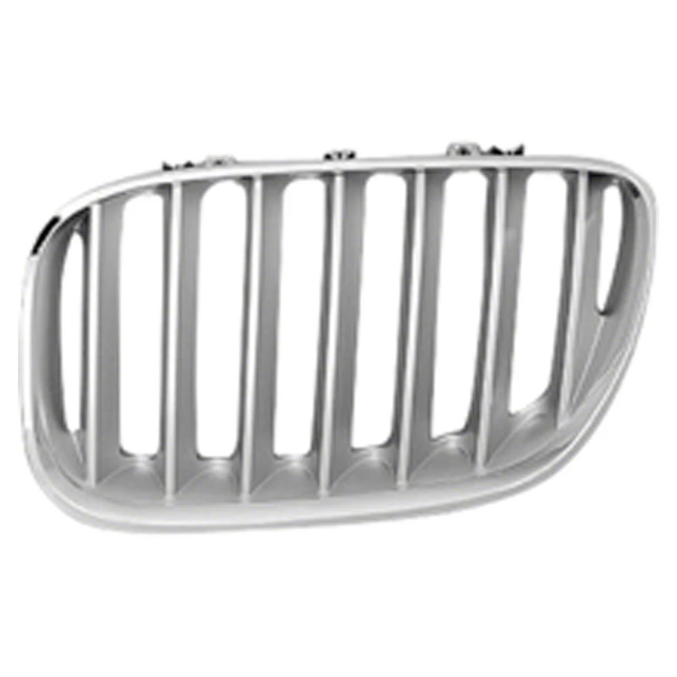 Left Driver Side Grille Fits BMW X5 2004-2006 51137124815 Foto 1 de 1