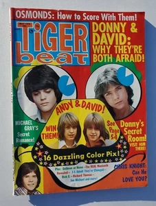 Tiger Beat Magazine (5/73) - Andy & David Williams, Michael Grey, Donny Osmond - Picture 1 of 8