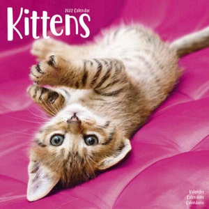 Calendrier 2022 - CHATONS - Imagen 1 de 2