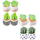 8 Pcs Artificial Cactus Tabletop Decoration Dollhouse Plant Model