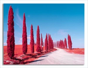 Converted Full Spectrum Infrared IR Panasonic G2 Camera Lens 850nm Filter 44 - Picture 1 of 10