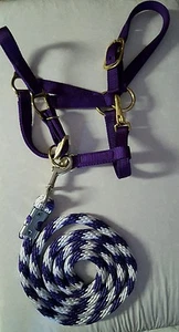Nuevo Amish Pony Horse 100 - 200 libras Halter Arnés tachuela latón púrpura - Imagen 1 de 3