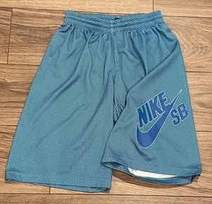 Nike SB Youth L Wide Leg Blue Stripe Baggie Drawstring 22/10 Street Wear Skate - Picture 1 of 10
