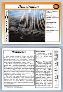 Dimetrodon #62.10 - Fossils - Treasures Of The Earth Grolier Card - Picture 1 of 1