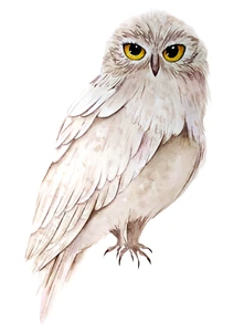 XXL 18X18 cm Autoaufkleber Sticker Eule Tier Aufkleber - Picture 1 of 1