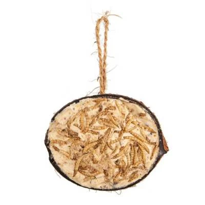 Kokosnusshälften mit Mehlwürmern 8 Pack Vogelfutter Wildvogelfutter Fettfutter  - Bild 1 von 2