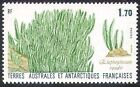 Fsat/Taaf 1988 Elephant Grass/Plants/Nature/Flora 1V (N22745)