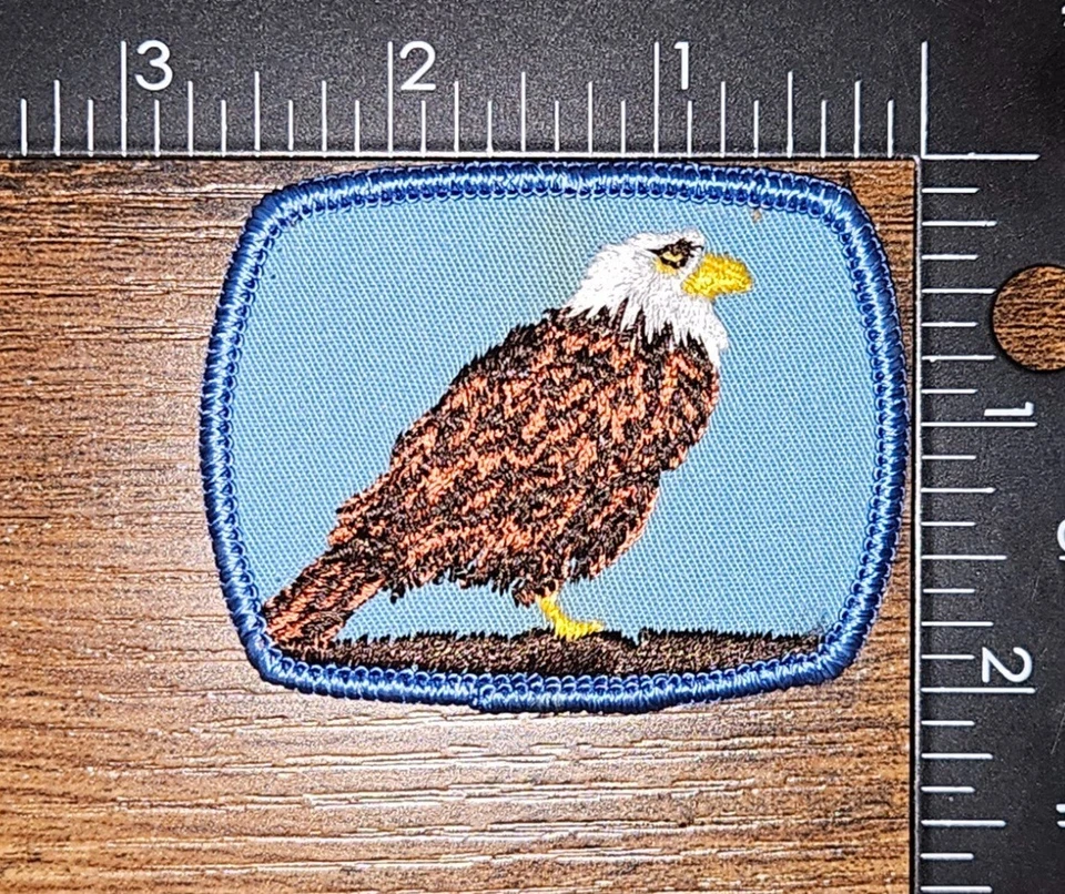 Винтажная декоративная нашивка на шляпу с белоголовым орлом - Изображение 1 из 1