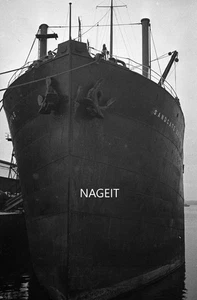 ORIGINAL CELLULOID NEGATIVE LARGE OCEAN LINER SANDGATE CASTLE SHIP  #8298 - Foto 1 di 1