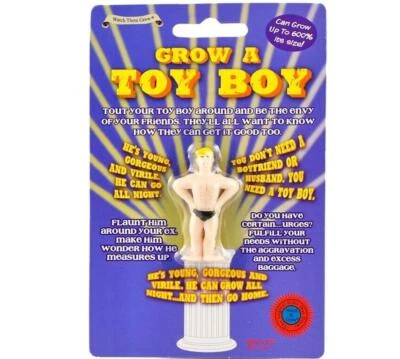 Grow Your Own BOY TOY Boyfriend Sugar Daddy - This Hunk of a Man! Gag Joke Gift - Image 1 of 4