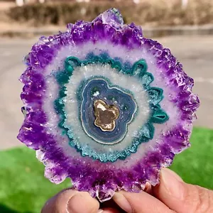 81G Natural Alta Calidad Amatista Ágata Cuarzo Racimo Rebanada Cristal Mineral - Imagen 1 de 24
