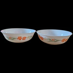 Vintage Arcopal France 16 oz Soup Cereal Bowls Milk Glass Wildflowers Lot of 2 - Picture 1 of 4