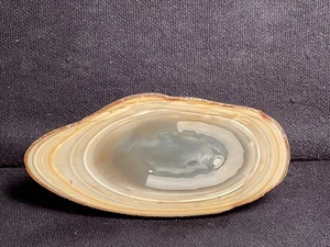 ~RW~ PULIDO "ESPECIMEN DE JASPE DEL DESIERTO DEL SAHARA REAL" ~~ EGIPTO - Imagen 1 de 3