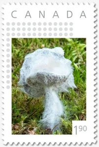 aq. 1.90 rate = CLOUD MUSHROOM = Picture Postage Canada 2019 p19-06-s02 - Picture 1 of 2