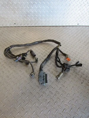 Harley Davidson Touring Electra Glide Ultra EFI 2002 02 sub arnés de cables Foto 1 de 4