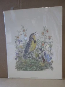 MEADOW LARK WITH SPRING BOUQUET 1981 FOGELSONG VINTAGE POSTER CNG3158 - Picture 1 of 5