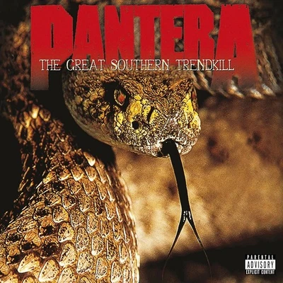 PANTERA The Great Southern Trendkill BANNER HUGE 2x2 Ft Fabric Poster Tapestry - Image 1 of 3