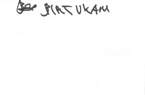 LEICHTATHLETIK: BIRTUKAN FENTE ALEMU SIGNIERT 6x4 WHITECARD+COA **ÄTHIOPIEN** - Bild 1 von 1