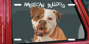 Placa de matrícula American Bulldog, accesorio de coche, etiqueta automática, letrero de dormitorio, divertido perro L - Imagen 1 de 1