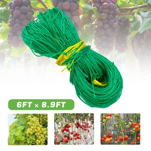 Garden Net Plant Growth ClimbingTrellis Netting Mesh For Fruits Vine Veggie Bean - Picture 1 of 21