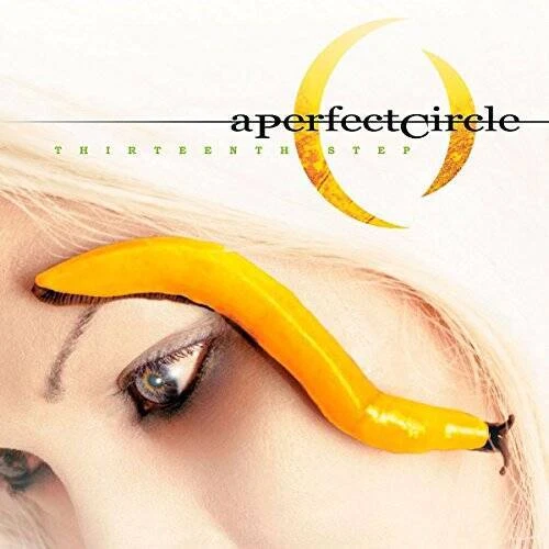 Thirteenth Step - Audio CD By A Perfect Circle - GOOD Foto 1 de 1