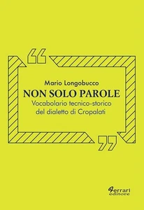 Mario Longobucc Non solo parole. Vocabolario tecnico-storico del dia (Paperback) - Picture 1 of 1