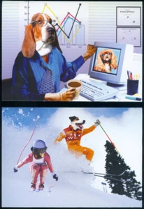 10 TARJETAS DE FELICITACIÓN DE COMEDIA - PERROS - Imagen 1 de 5