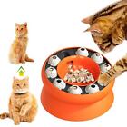 Slow Feeder Cat Bowl Slow Eating Healthy Eating Diet For