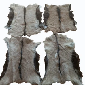 4X Real Antelope Goat Skin Pelt Rug Hide Leather Tanned Soft Clothing Accessorie - Picture 1 of 11