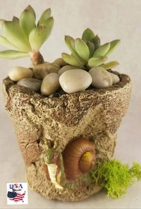Succulent Plant Flower Clay Pots - Picture 1 of 5