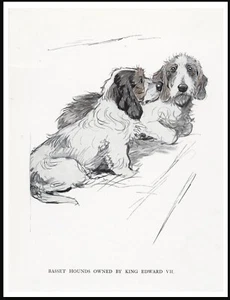 PETIT BASSET GRIFFON VENDEEN ZWEI HUNDE VINTAGE STIL HUND KUNSTDRUCK POSTER - Bild 1 von 1