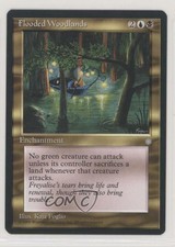 1995 Magic: The Gathering - Ice Age Flooded Woodlands rs0