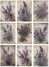 Aufkleber-Möbeltattoo-transparent-Shabby-Vintage-Lavendel-Lavender-1365
