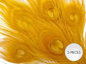5 Pieces – Golden Yellow Bleached & Dyed Peacock Tail Eye Feathers 10-12” Long - Picture 1 of 9