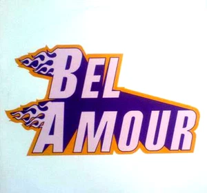 BEL AMOUR - BEL AMOUR  - 12” VINYL RECORD - IBIZA 90S 2000S HOUSE CLASSIC DJ - Picture 1 of 6