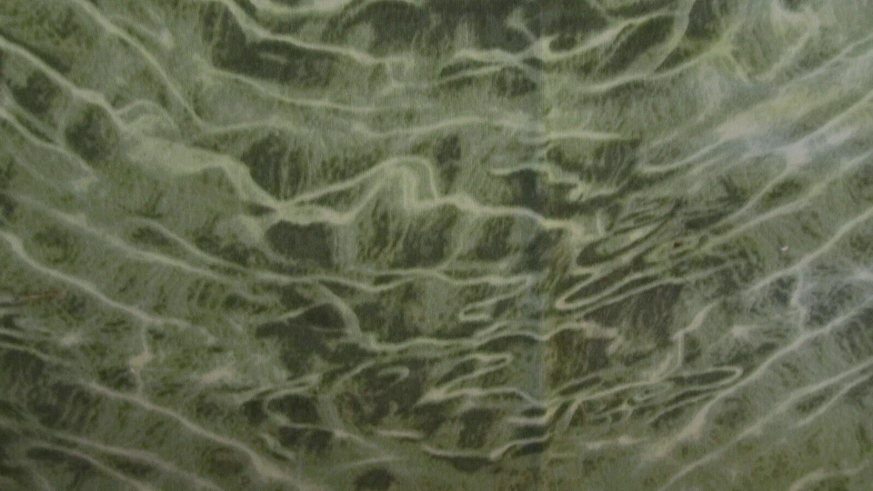 Tela de algodón verde Monterey Bay American Wilderness para SSI 28x42 Foto 1 de 4