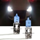 Enhance Visibility and Safety H3 Xenon White 100W Halogen Headlight Bulb 1 Pair