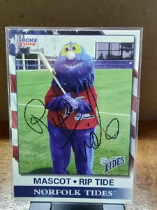 2002 Choice Norfolk Tides Rip Tide /Autograph - Picture 1 of 2
