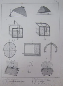 GRAVURE XIXéme  CHASSES et PIÈGES TRÉBUCHETS OISEAUX de PROIE et ROSSIGNOL  - Bild 1 von 1