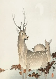 13267.Wall Decor Poster.Oriental Asian design.Japan Ohara Koson painting.Deers - Picture 1 of 1